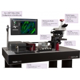 Thorlabs Bergamo Ⅱ雙光子顯微系統(tǒng)