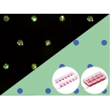 μ-Slides With Multi-Cell μ...